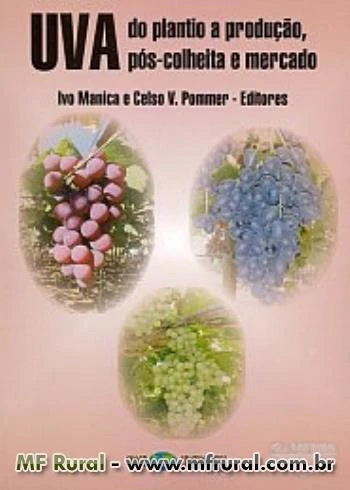 Livro UVA: do Plantio a Produção, Pós-Colheita e Mercado