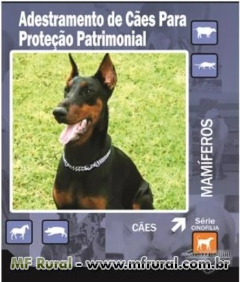 DVD Adestramento de Cães Para Proteção Patrimonial