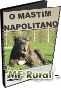 O Mastim Napolitano - DVD 
