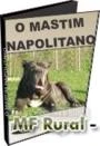 O Mastim Napolitano - DVD 