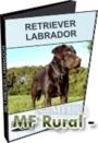 Retriever Labrador - DVD 