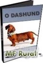 O Daschund - DVD 