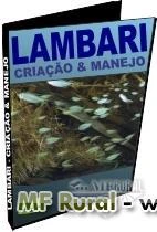 Como Criar Lambari - um negócio lucrativo - DVD 