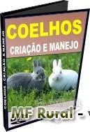 Coelhos - Criação e Manejo - DVD 