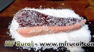 Sal Grosso Churrasco Imagem Sal Grosso Churrasco