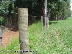 Mourão de eucalipto tratado Sudoeste Paulista 2,20m x 10-14cm