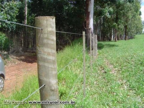 Mourão de eucalipto tratado Sudoeste Paulista 2,20m x 10-14cm Imagem Mourão de eucalipto tratado Sudoeste Paulista 2,20m x 10-14cm