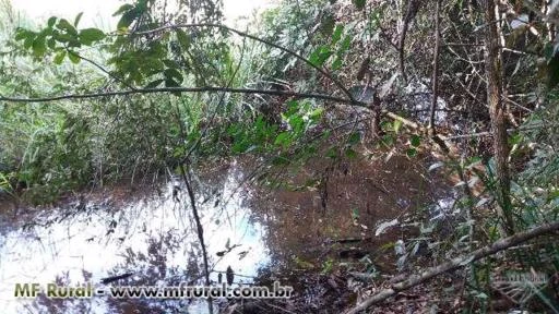 Fazenda próximo a barragem do Cajuru