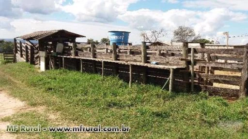 Fazenda próximo a barragem do Cajuru