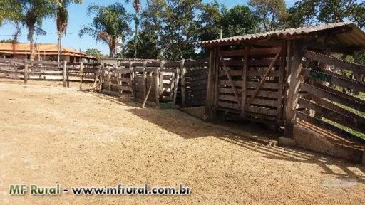 Fazenda próximo a barragem do Cajuru