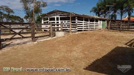 Fazenda próximo a barragem do Cajuru