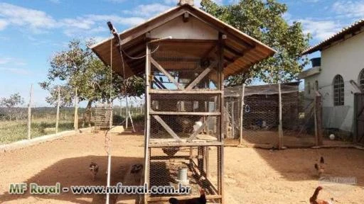 Fazenda próximo a barragem do Cajuru