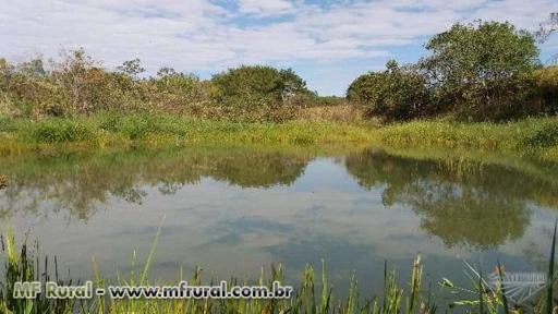 Fazenda próximo a barragem do Cajuru