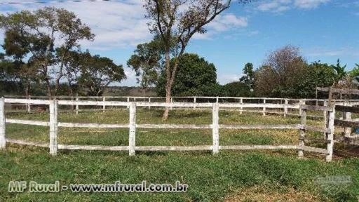 Fazenda próximo a barragem do Cajuru