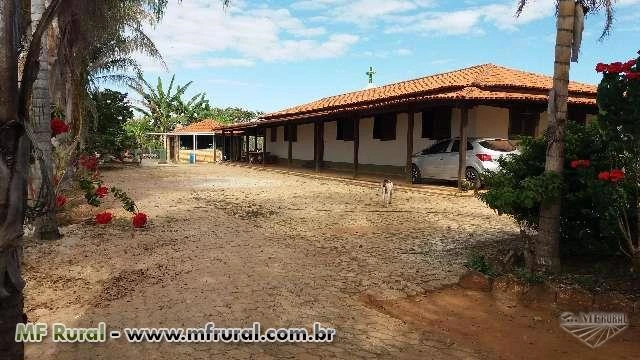 Fazenda próximo a barragem do Cajuru