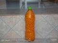 Pimentas em Conserva Imagem Pimentas em Conserva
