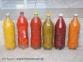 Pimentas em Conserva Imagem Pimentas em Conserva