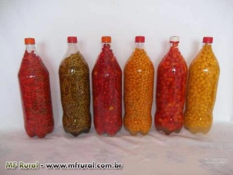 Imagem Pimentas em Conserva Imagem Pimentas em Conserva
