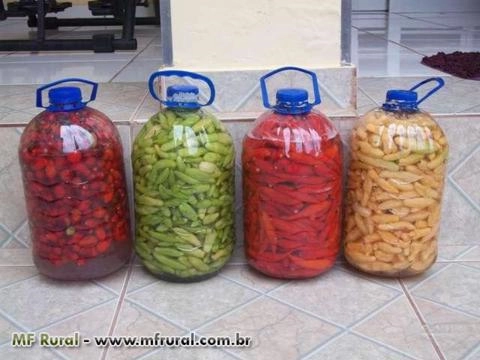 Imagem Pimentas em Conserva Imagem Pimentas em Conserva