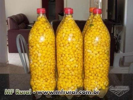 Imagem Pimentas em Conserva Imagem Pimentas em Conserva