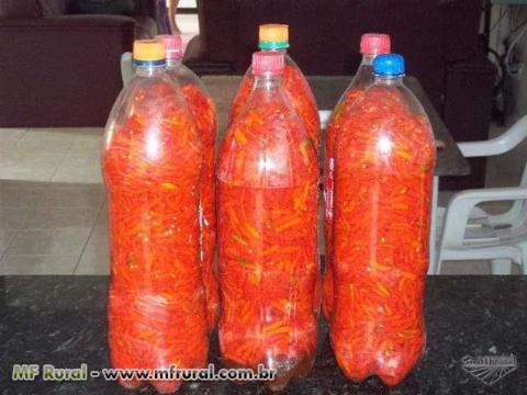 Imagem Pimentas em Conserva Imagem Pimentas em Conserva