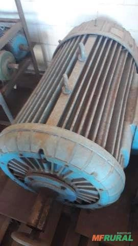 Motor Búfalo 300 CV – 1175 RPM / 440-740V Imagem Motor Búfalo 300 CV – 1175 RPM / 440-740V