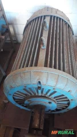 Imagem Motor Búfalo 300 CV – 1175 RPM / 440-740V Imagem Motor Búfalo 300 CV – 1175 RPM / 440-740V