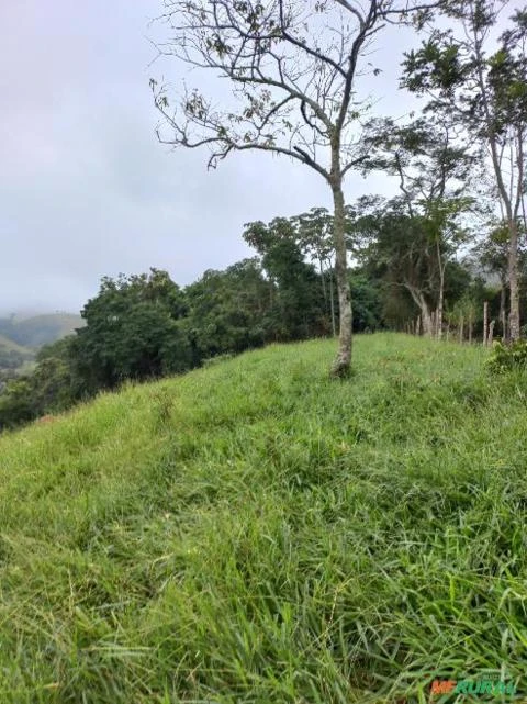 Sítio em Bom Jardim de Minas - MG