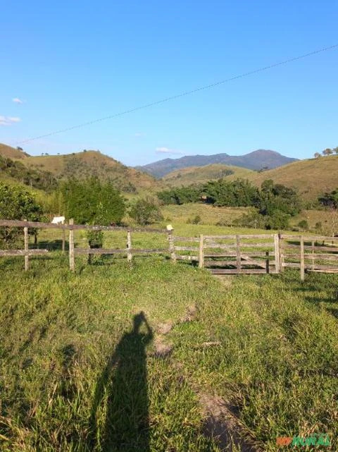 Sítio em Bom Jardim de Minas - MG