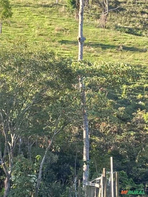 Sítio em Bom Jardim de Minas - MG