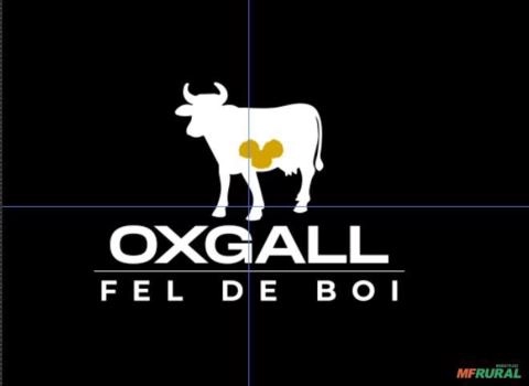 Biles de Boi em Pó Imagem Biles de Boi em Pó