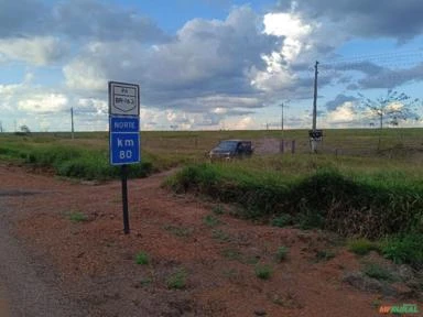 Arrendamento  para Plantio de Eucalipto em Cachoeira da Serra - Pará