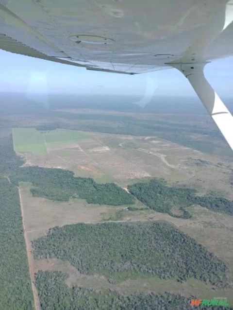 Arrendamento  para Plantio de Eucalipto em Cachoeira da Serra - Pará