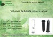 Tubetes Plásticos para Mudas Florestais, Seringueira, Cacau e Mogno Africano