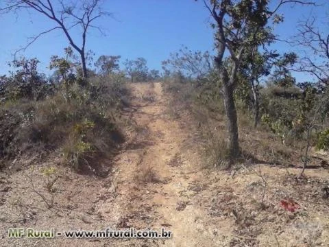 RESERVA LEGAL EM MINAS GERAIS