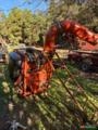 Jatao JACTO 400 lts Imagem Jatao JACTO 400 lts