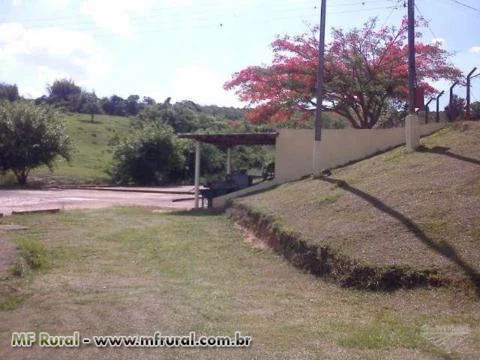 Sítio à Venda em Santo Antônio do Jardim - SP
