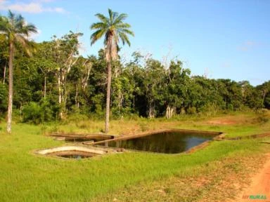 Fazenda em Barra do Pojuca