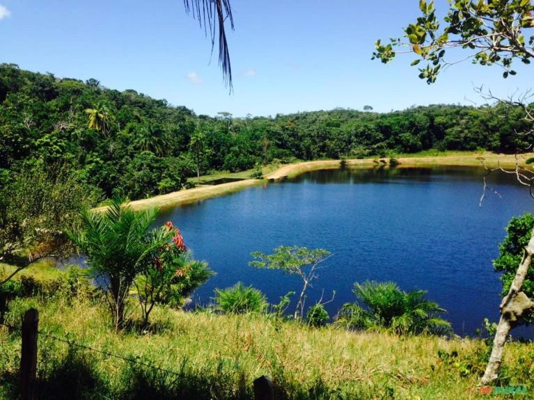 Fazenda em Barra do Pojuca