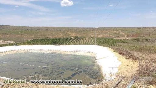 Fazenda de café e maracujá e pecuária 2 poços de água mineral