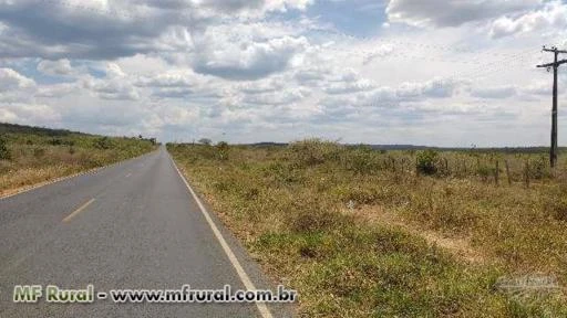 Fazenda de café e maracujá e pecuária 2 poços de água mineral