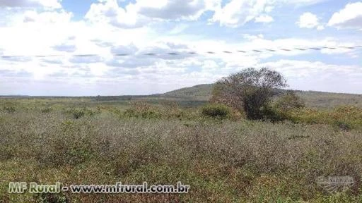 Fazenda de café e maracujá e pecuária 2 poços de água mineral