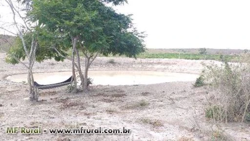 Fazenda de café e maracujá e pecuária 2 poços de água mineral