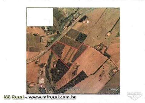 Sitio em  Mogi Mirim - SP com 12 hectares