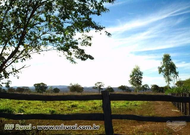 Fazenda 1.160 hectares em Goiás