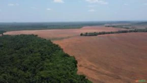 Fazenda Sul Maranhao