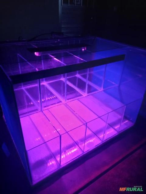 Consertos, Reformas, Manutenção De Aquários Imagem Consertos, Reformas, Manutenção De Aquários