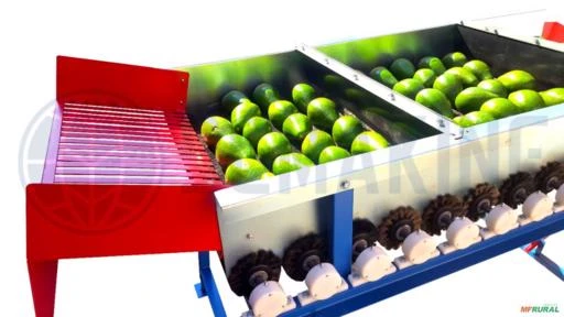 Máquinas para beneficiamento de Frutas e Legumes