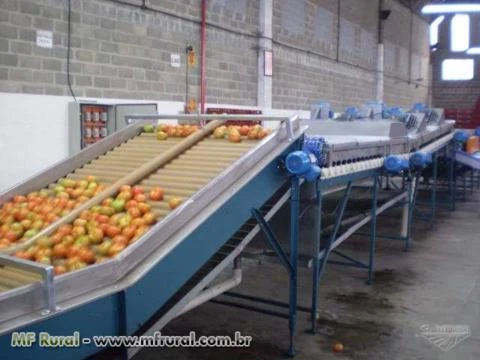 Máquinas para beneficiamento e classificação de Frutas e Legumes