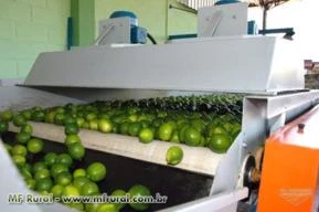 MÁQUINAS PARA BENEFICIAR E CLASSIFICAR LARANJA, TOMATE, CEBOLA, LIMÃO, BATATA,CENOURA, ABÓBORA